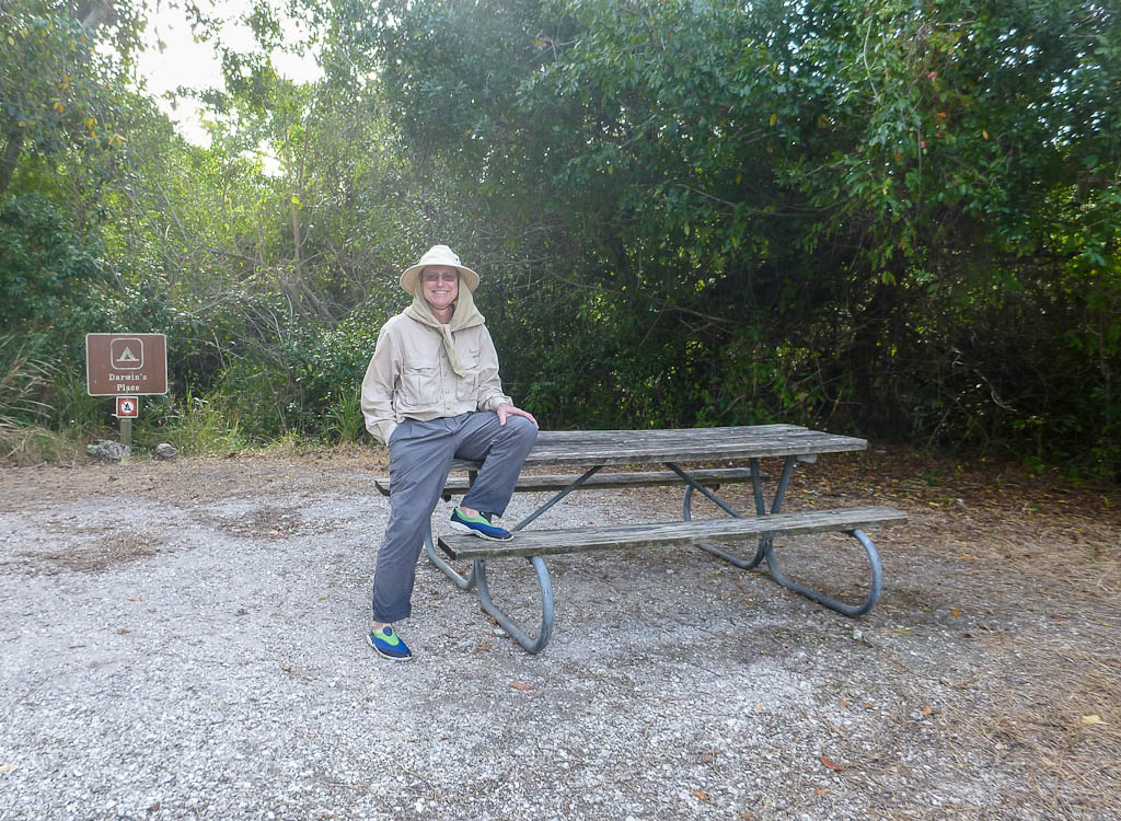 Eglades13 18