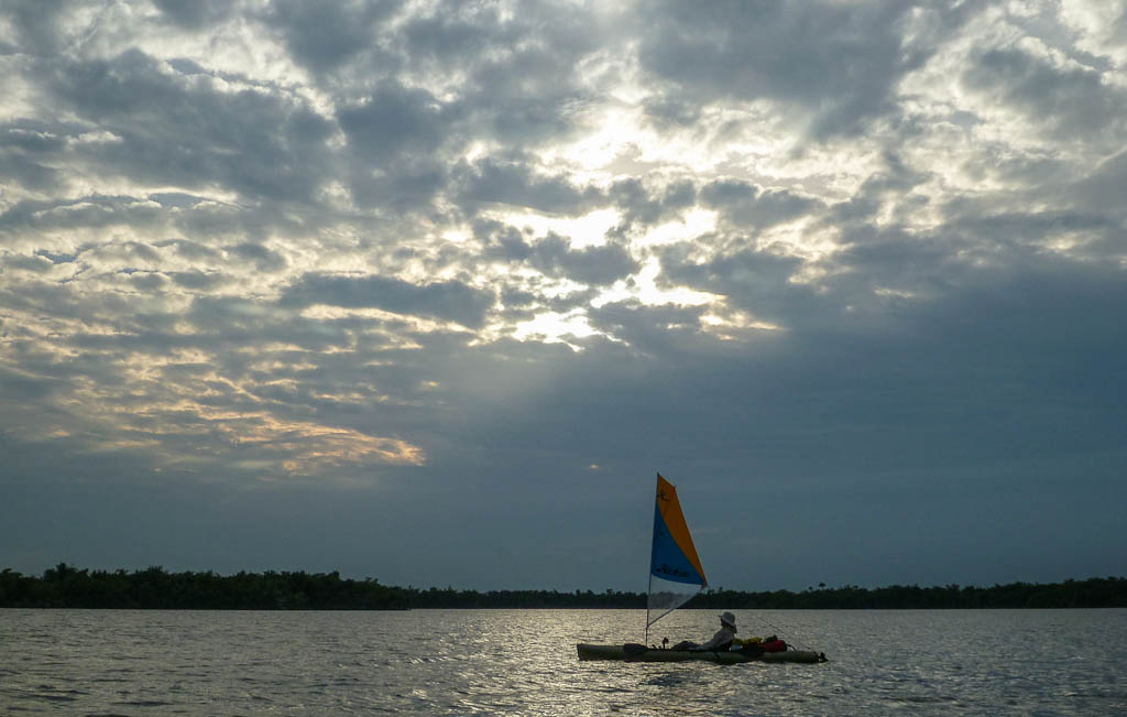 Everglades 2013 019