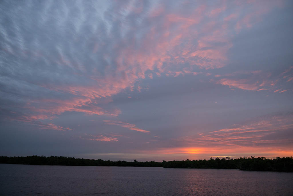 Everglades 2013 024