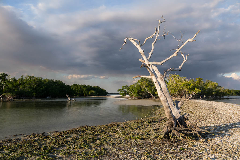 Everglades 2013 036