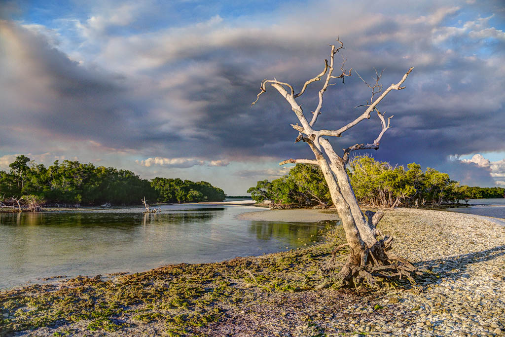 Everglades 2013 037