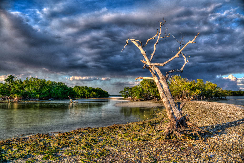 Everglades 2013 038