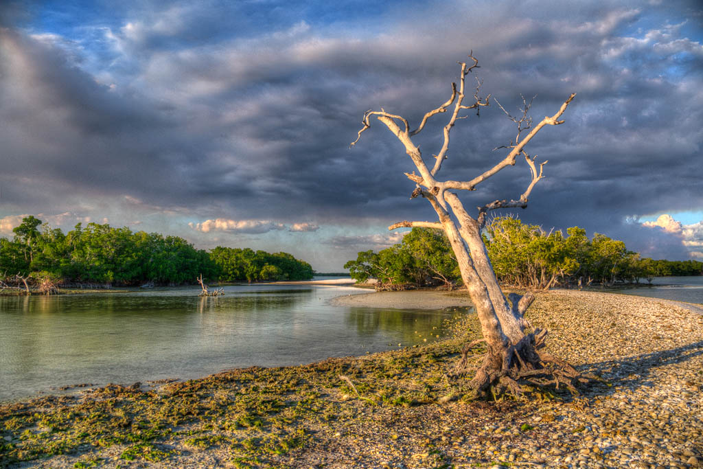Everglades 2013 039