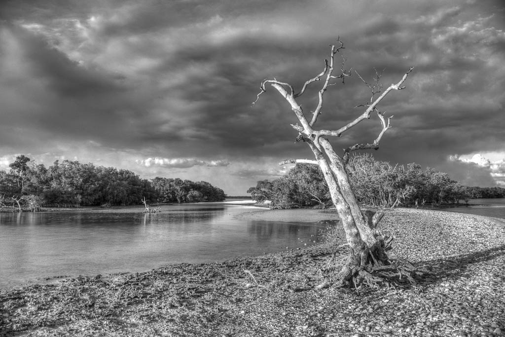 Everglades 2013 040