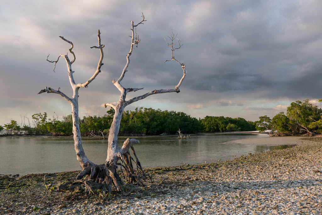 Everglades 2013 043