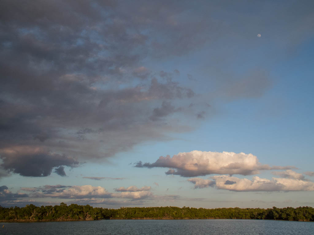 Everglades 2013 047