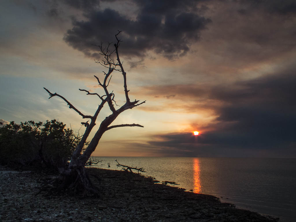 Everglades 2013 051