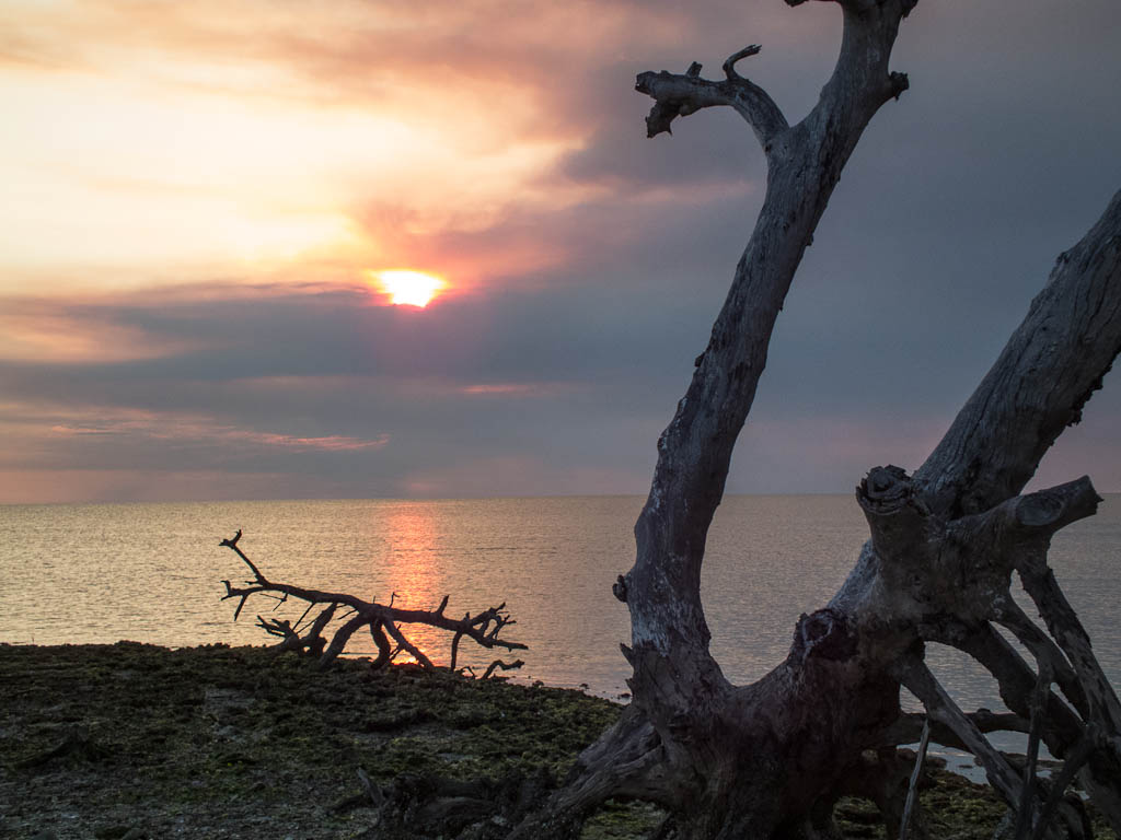 Everglades 2013 052