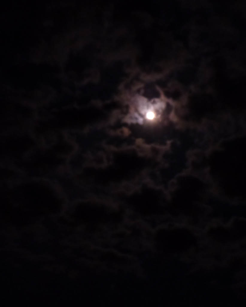 Everglades 2013 053