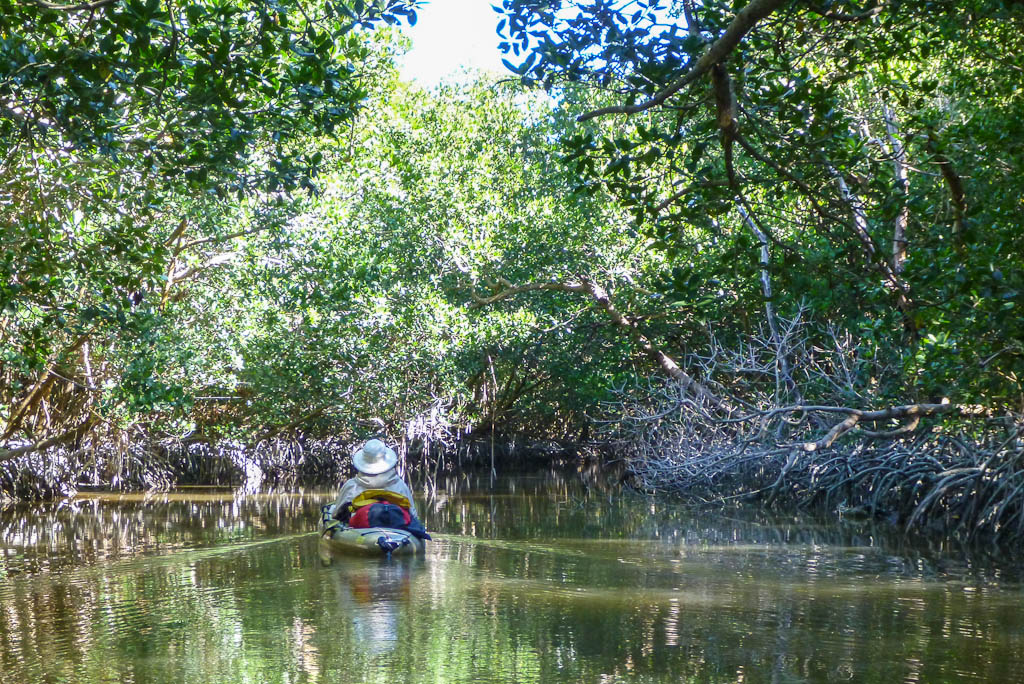 Everglades 2013 067
