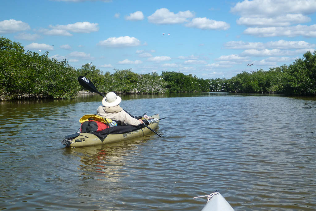 Everglades 2013 082