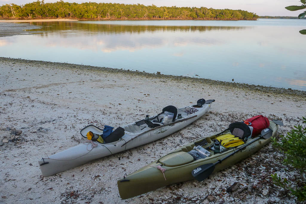 Everglades 2013 116
