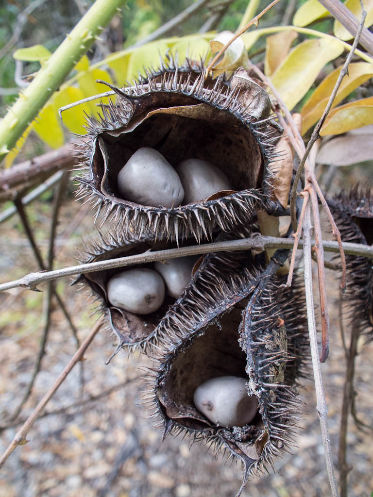 Everglades 2013 118