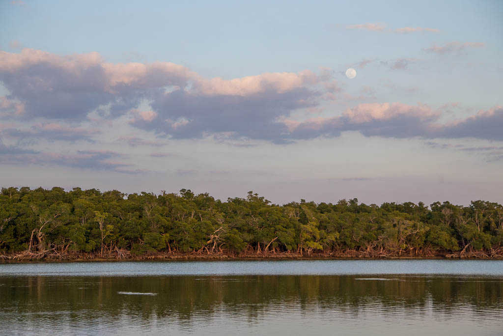 Everglades 2013 122