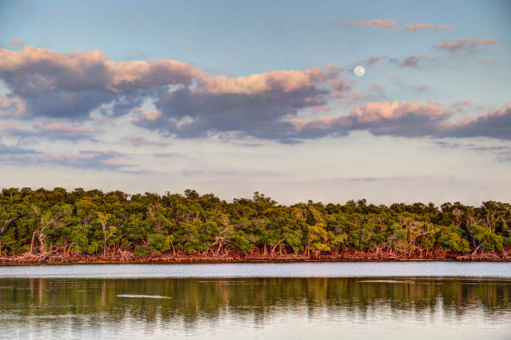 Everglades 2013 123