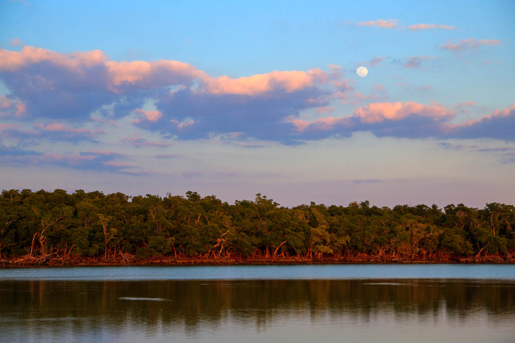 Everglades 2013 124