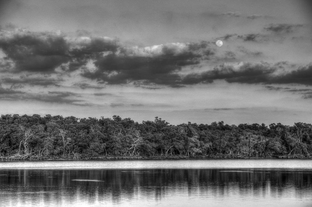 Everglades 2013 126