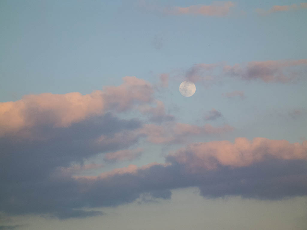 Everglades 2013 128