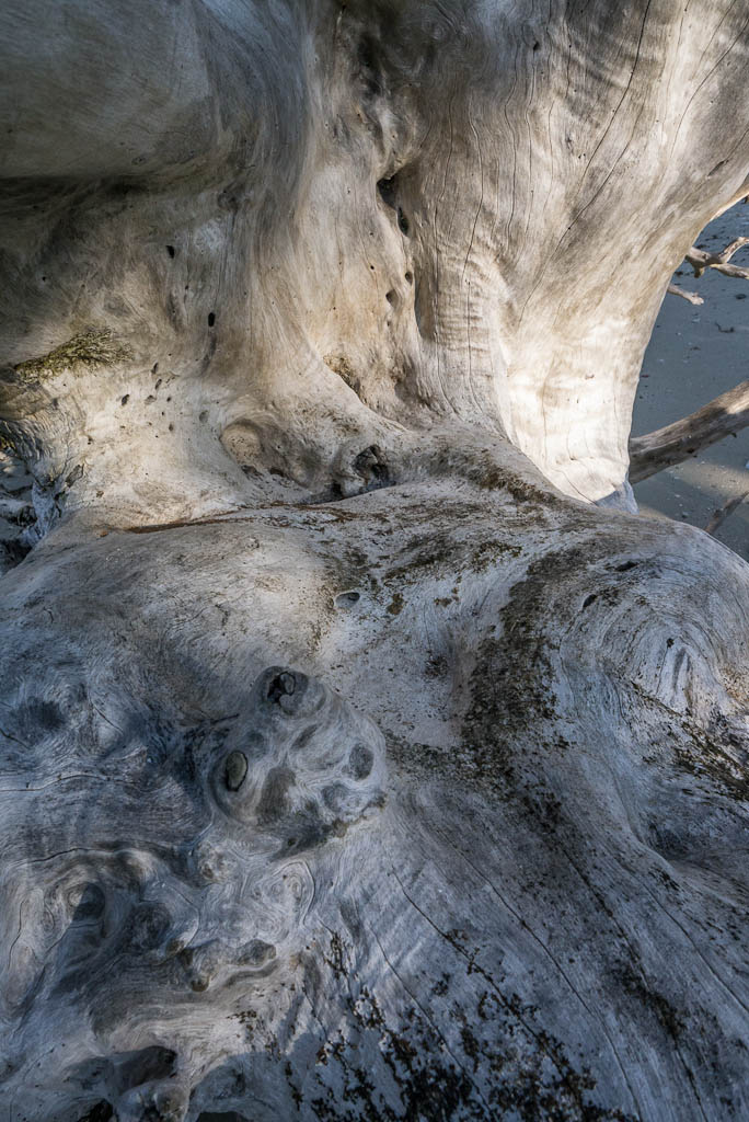 Everglades 2013 140