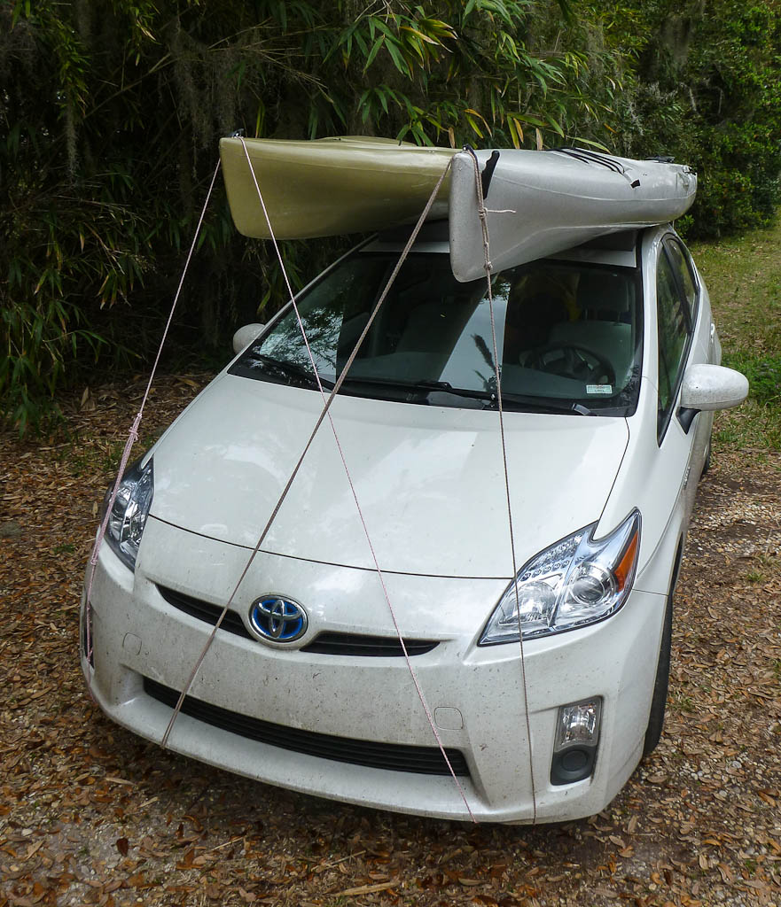Everglades 2013 145