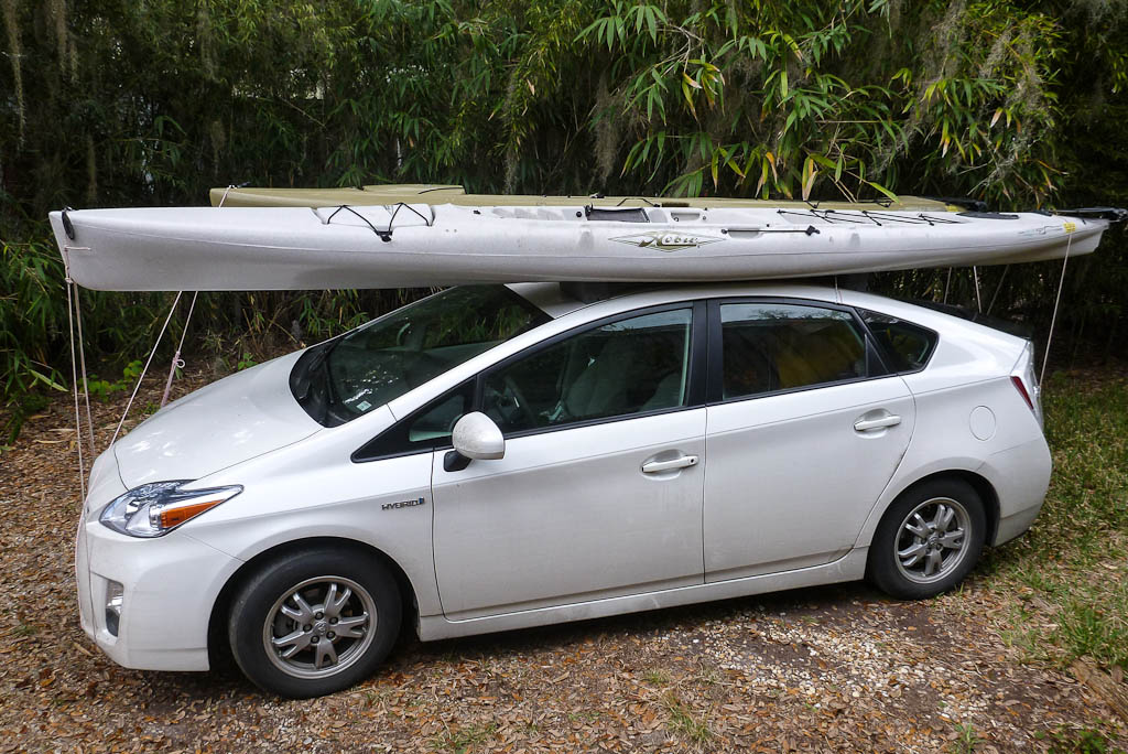 Everglades 2013 146