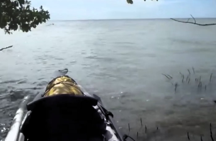 Sheltering at Big Sable Creek (from video)