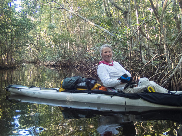 Mangrove Tunnel to Coot Bay Pond & Trail's End