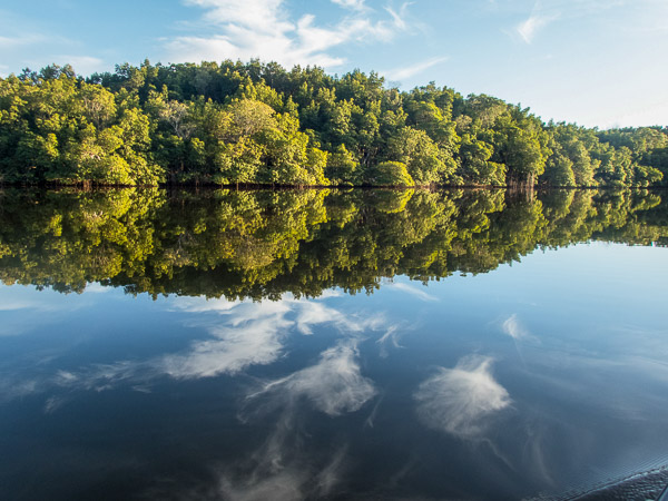 Shark River Mirror Image
