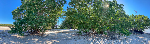 Rabbit Key Campsite Pano
