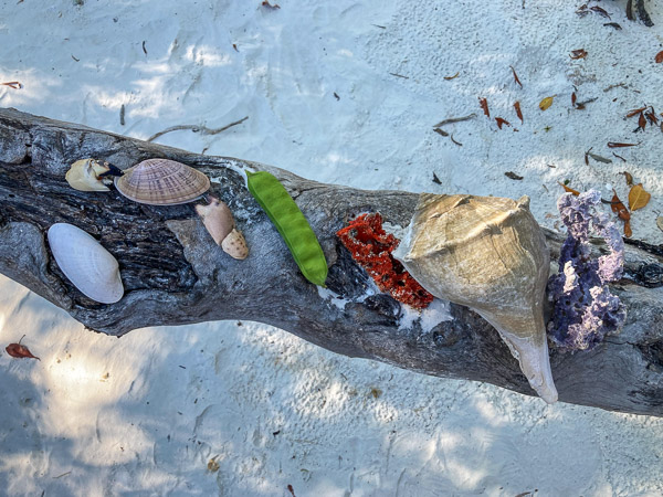 Our Collection of Trinkets