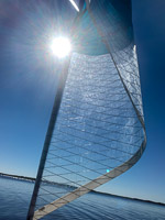 1007 Everglades 2022 Sailing