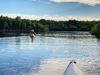 1019 Everglades 2022 Shark River