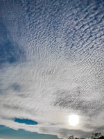 1020 Everglades 2022 Shark River Clouds