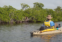 1035 Birds Everglades 2022 Watson River Anhinga