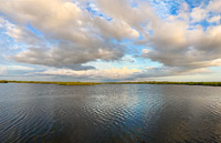 1043 Everglades 2022 North River