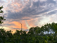 1046 Everglades 2022 North River Chickee Sunset