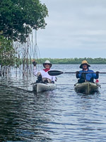 1052 Everglades 2022 Coot Bay Richard Theron