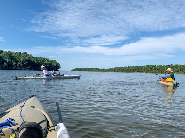 Little Shark River & Gulf of Mexico Beyond