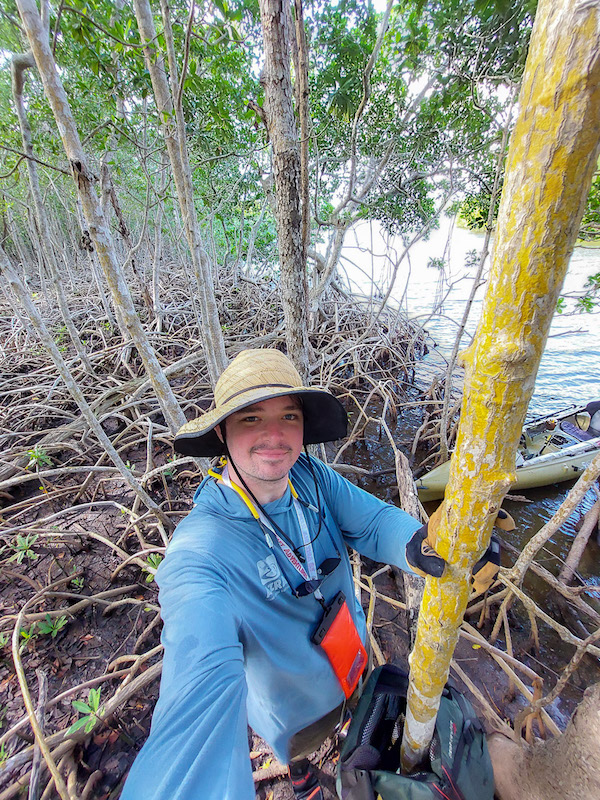 Theron in the Mangroves