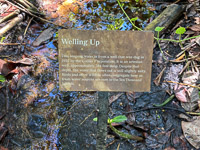 0006 Everglades 2023 Sign Sandfly Island