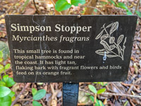 0008 Everglades 2023 Sign Sandfly Island