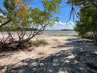 0032 Everglades 2023 Rabbit Key Campsite