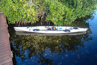 1035 Everglades 2024 Willy Willy Campsite Clear Water