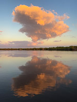 1019 Everglades 2025 Cloud Reflection
