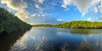1032 Everglades 2025 Panorama Shark River