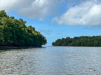 1039 Everglades 2025 Shark River Gulf