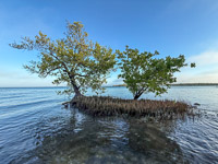 0040 Everglades 2026 