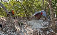 0057 Camping Everglades 2026 Hammock Tents Second Campsite