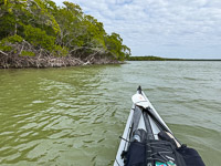 0082 Everglades 2026 