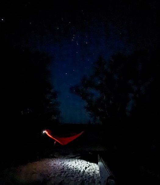 Starry Night in My Hammock (Orion Top Center)